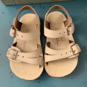 Size 4 Saltwater Sea Wees